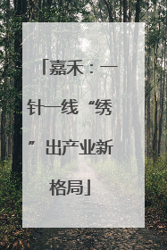 嘉禾：一针一线“绣”出产业新格局