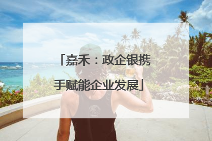 嘉禾：政企银携手赋能企业发展