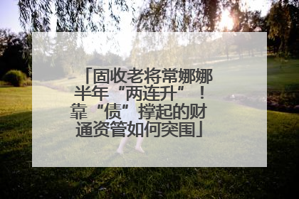固收老将常娜娜半年“两连升”！靠“债”撑起的财通资管如何突围