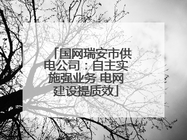 国网瑞安市供电公司：自主实施强业务 电网建设提质效