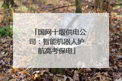 国网十堰供电公司：智能机器人护航高考保电