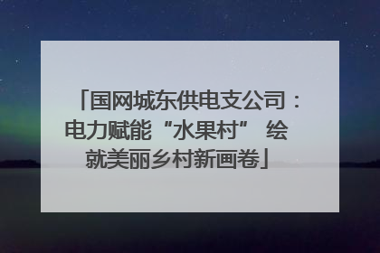 国网城东供电支公司：电力赋能“水果村” 绘就美丽乡村新画卷