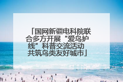 国网新疆电科院联合多方开展“爱鸟护线”科普交流活动 共筑鸟类友好城市