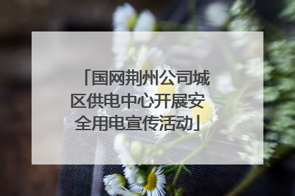 国网荆州公司城区供电中心开展安全用电宣传活动