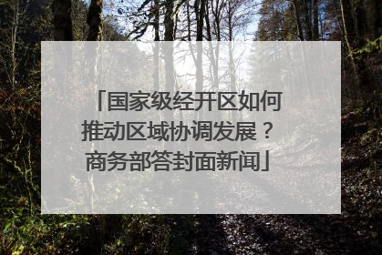国家级经开区如何推动区域协调发展？商务部答封面新闻