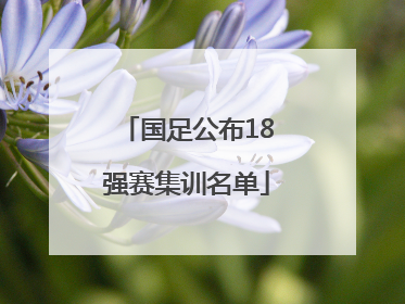 国足公布18强赛集训名单
