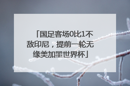 国足客场0比1不敌印尼，提前一轮无缘美加墨世界杯
