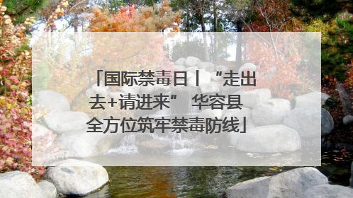 国际禁毒日丨“走出去+请进来” 华容县全方位筑牢禁毒防线