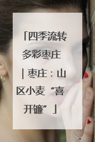 四季流转 多彩枣庄｜枣庄：山区小麦“喜开镰”