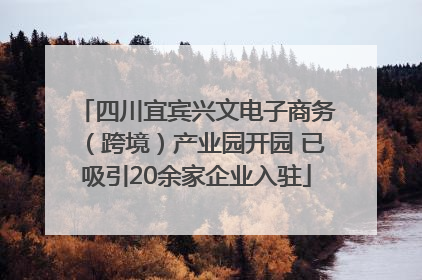 四川宜宾兴文电子商务（跨境）产业园开园 已吸引20余家企业入驻