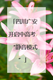 四川广安开启中高考“静音模式”