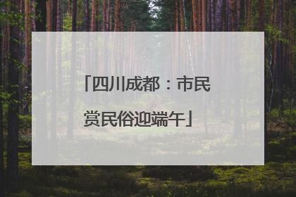 四川成都：市民赏民俗迎端午