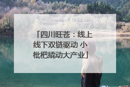 四川旺苍：线上线下双链驱动 小枇杷撬动大产业