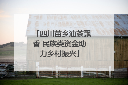 四川苗乡油茶飘香 民族类资金助力乡村振兴