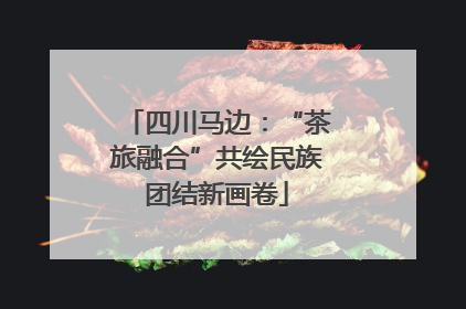 四川马边：“茶旅融合”共绘民族团结新画卷