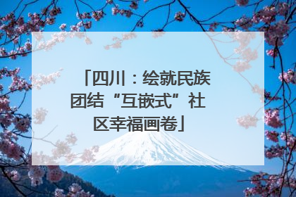 四川：绘就民族团结“互嵌式”社区幸福画卷
