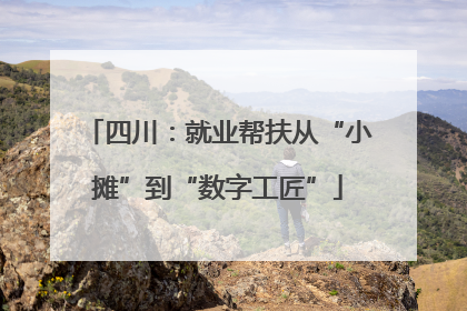 四川：就业帮扶从“小摊”到“数字工匠”