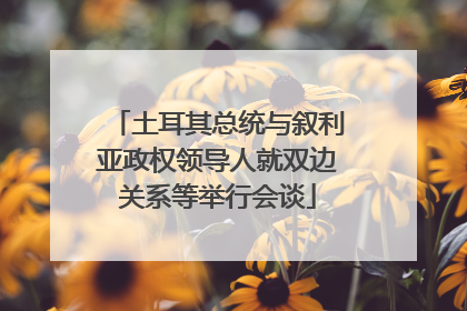 土耳其总统与叙利亚政权领导人就双边关系等举行会谈