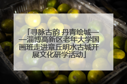 寻脉古韵 丹青绘城——淄博高新区老年大学国画班走进章丘明水古城开展文化研学活动