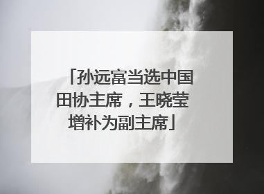 孙远富当选中国田协主席，王晓莹增补为副主席