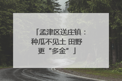孟津区送庄镇：种瓜不见土 田野更“多金”