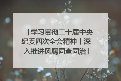 学习贯彻二十届中央纪委四次全会精神丨深入推进风腐同查同治