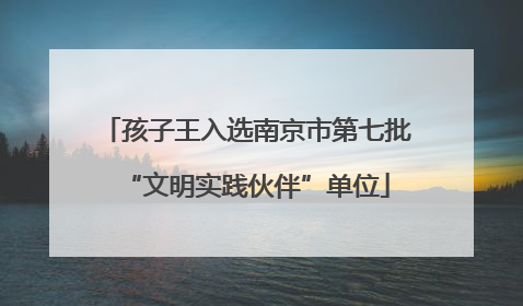 孩子王入选南京市第七批“文明实践伙伴”单位