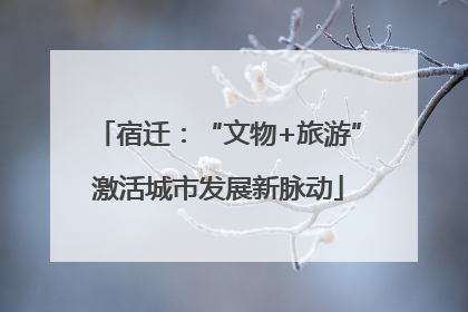 宿迁：“文物+旅游”激活城市发展新脉动