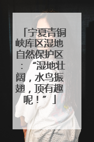 宁夏青铜峡库区湿地自然保护区：“湿地壮阔，水鸟振翅，顶有趣呢！”