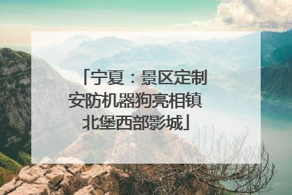 宁夏：景区定制安防机器狗亮相镇北堡西部影城
