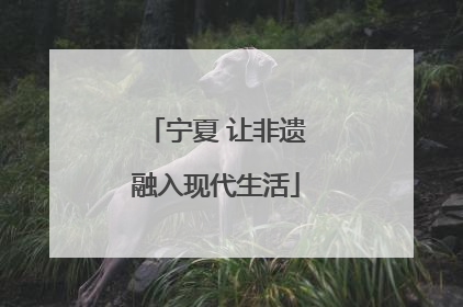 宁夏 让非遗融入现代生活