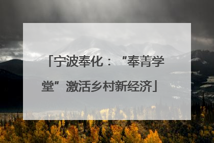 宁波奉化：“奉菁学堂”激活乡村新经济