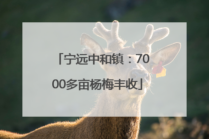 宁远中和镇：7000多亩杨梅丰收