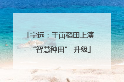 宁远：千亩稻田上演 “智慧种田” 升级