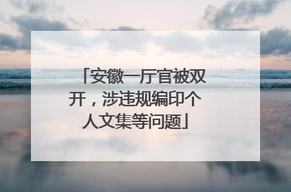 安徽一厅官被双开，涉违规编印个人文集等问题