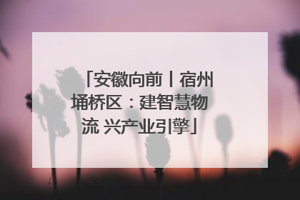 安徽向前丨宿州埇桥区：建智慧物流 兴产业引擎