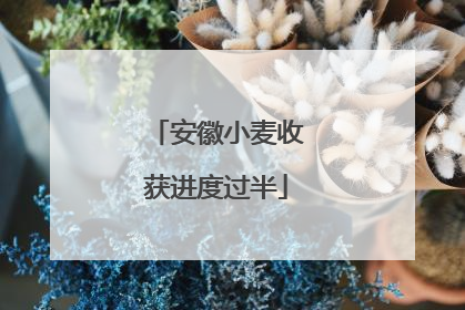安徽小麦收获进度过半