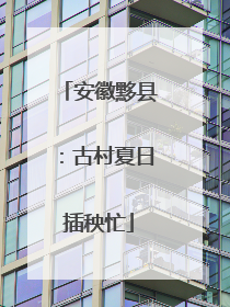 安徽黟县：古村夏日插秧忙