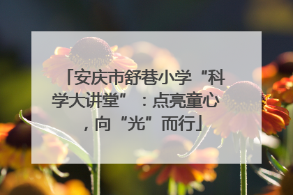 安庆市舒巷小学“科学大讲堂”：点亮童心，向“光”而行