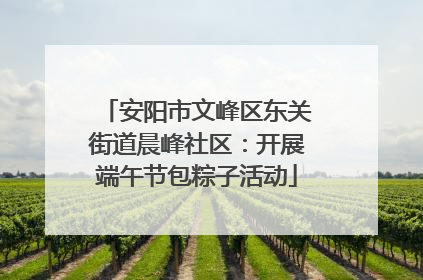 安阳市文峰区东关街道晨峰社区：开展端午节包粽子活动