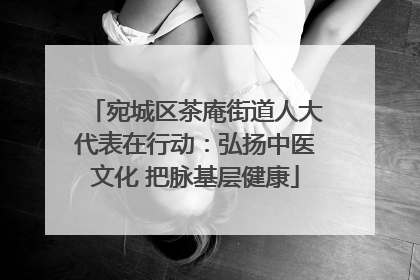 宛城区茶庵街道人大代表在行动：弘扬中医文化 把脉基层健康
