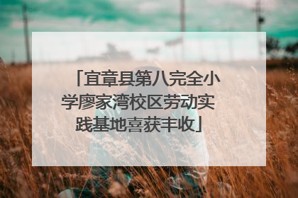 宜章县第八完全小学廖家湾校区劳动实践基地喜获丰收