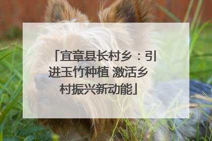 宜章县长村乡：引进玉竹种植 激活乡村振兴新动能
