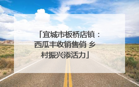 宜城市板桥店镇：西瓜丰收销售俏 乡村振兴添活力
