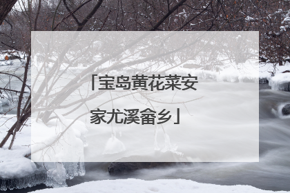 宝岛黄花菜安家尤溪畲乡
