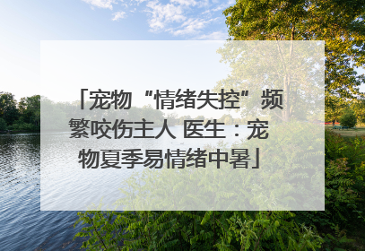 宠物“情绪失控”频繁咬伤主人 医生：宠物夏季易情绪中暑