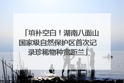 填补空白！湖南八面山国家级自然保护区首次记录珍稀物种宽距兰
