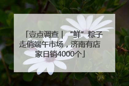 壹点调查｜“鲜”粽子走俏端午市场，济南有店家日销4000个