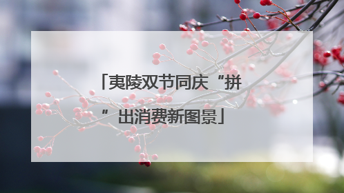 夷陵双节同庆“拼”出消费新图景