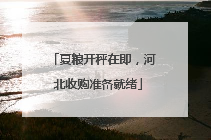 夏粮开秤在即，河北收购准备就绪